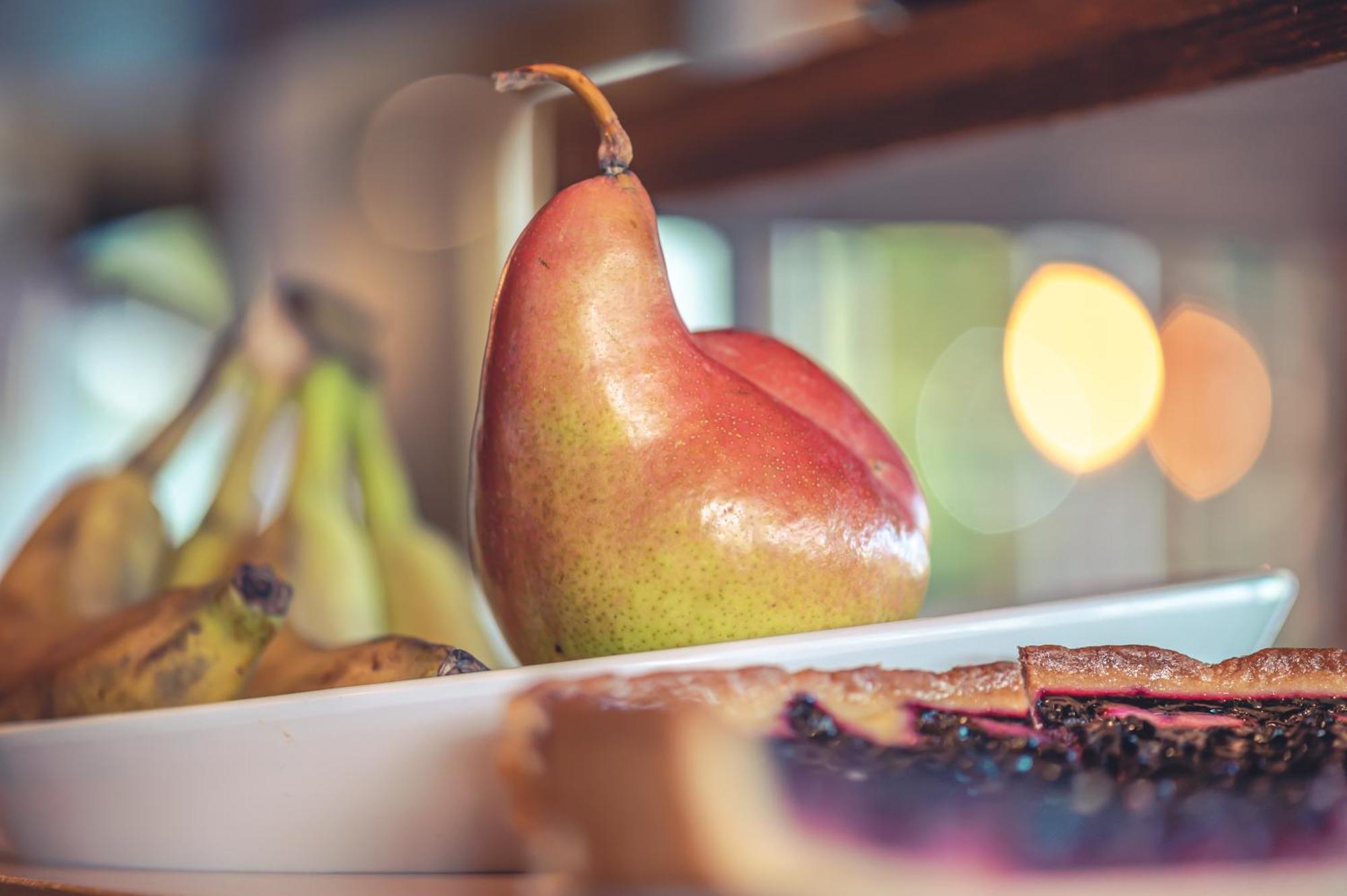 Logis Hotel Restaurant Le Plantevin Propiac Kültér fotó
